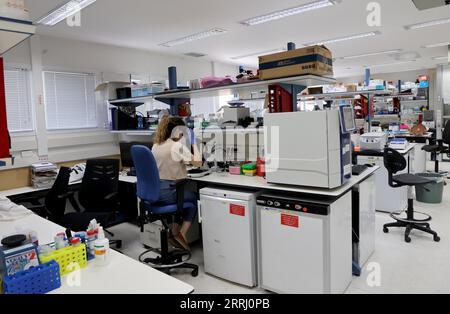 (230908) -- JÉRUSALEM, 8 septembre 2023 (Xinhua) -- Un chercheur travaille dans un laboratoire de sciences biologiques à l'Institut Weizmann des sciences (WIS) dans la ville israélienne de Rechovot le 7 septembre 2023. Les chercheurs sur les cellules souches ont créé des modèles artificiels d’embryons humains et les ont cultivés avec succès en dehors de l’utérus jusqu’au jour 14, a déclaré WIS dans le centre d’Israël dans un communiqué mercredi. Dans une nouvelle étude publiée dans la revue Science, les chercheurs ont créé des modèles artificiels d'embryons de cellules souches qui imitent avec précision toutes les caractéristiques et composants essentiels de ce stade de développement, y compris le placenta et le jaune Banque D'Images