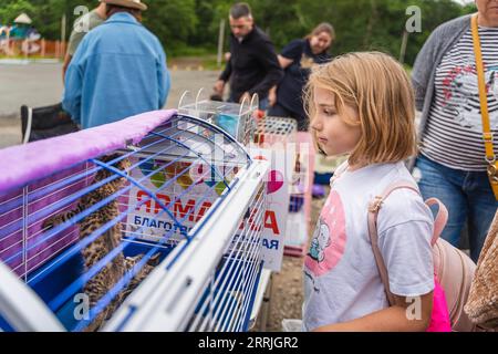 220723 -- VLADIVOSTOK, 23 juillet 2022 -- Une fille participe à un événement d'adoption de chats errants au parc Minny Gorodok lors d'un événement d'adoption de chats errants à Vladivostok, Russie, le 23 juillet 2022. Photo de /Xinhua RUSSIA-VLADIVOSTOK-STRAY CAT-ADOPTION GuoxFeizhou PUBLICATIONxNOTxINxCHN Banque D'Images