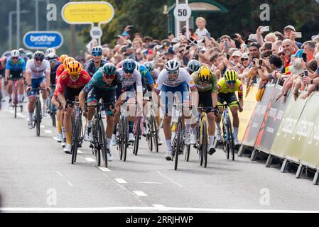 Harlow, Essex, Royaume-Uni. 8 septembre 2023. Les coureurs ont couru du départ à Southend on Sea à la ligne d'arrivée à Harlow après 91 miles de compétition à travers la campagne de l'Essex. Danny van Poppel de l'équipe Bora-Hansgrohe, juste devant le Britannique Ethan Vernon de l'équipe de Grande-Bretagne, a été le premier à franchir la ligne dans un sprint groupé Banque D'Images