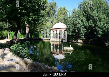 Étang ornemental au parc Maria Luisa à Séville, Espagne. Banque D'Images