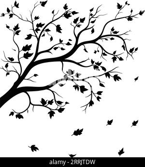 Branche d'arbre sans feuilles silhouettes vector.Tree branches silhouette Vector illustration.Tree branche vecteur sur fond blanc. Illustration de Vecteur