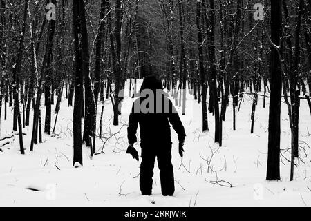 Silhouette d'un homme en vêtements d'hiver dans une jeune forêt de chênes enneigés, noir et blanc Banque D'Images