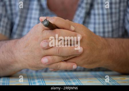 Mains d'un homme tenant un cigare Banque D'Images