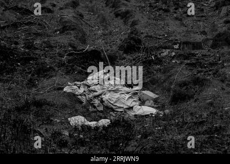 Déchets illégaux déversés dans la forêt en Allemagne, noir et blanc Banque D'Images