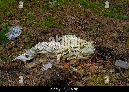 Déchets illégaux déversés dans la forêt en Allemagne Banque D'Images