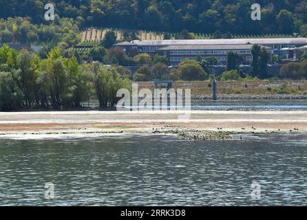 220818 -- BERLIN, 18 août 2022 -- la photo prise le 16 août 2022 montre le Rhin à Ruedesheim, Allemagne. Le niveau de l'eau du Rhin a baissé en raison de la température élevée et de la sécheresse. ALLEMAGNE-RHIN-NIVEAU D'EAU RenxPengfei PUBLICATIONxNOTxINxCHN Banque D'Images