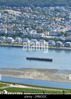 220818 -- BERLIN, le 18 août 2022 -- Un cargo navigue sur le Rhin à Ruedesheim, Allemagne, le 16 août 2022. Le niveau de l'eau du Rhin a baissé en raison de la température élevée et de la sécheresse. ALLEMAGNE-RHIN-NIVEAU D'EAU RenxPengfei PUBLICATIONxNOTxINxCHN Banque D'Images