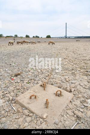 220818 -- BERLIN, 18 août 2022 -- la photo prise le 17 août 2022 montre la rive du Rhin à Dusseldorf, en Allemagne. Le niveau de l'eau du Rhin a baissé en raison de la température élevée et de la sécheresse. ALLEMAGNE-RHIN-NIVEAU D'EAU RenxPengfei PUBLICATIONxNOTxINxCHN Banque D'Images