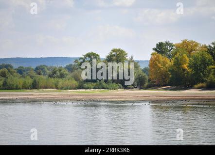 220818 -- BERLIN, 18 août 2022 -- la photo prise le 16 août 2022 montre le Rhin à Ruedesheim, Allemagne. Le niveau de l'eau du Rhin a baissé en raison de la température élevée et de la sécheresse. ALLEMAGNE-RHIN-NIVEAU D'EAU RenxPengfei PUBLICATIONxNOTxINxCHN Banque D'Images
