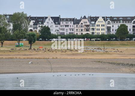 220818 -- BERLIN, 18 août 2022 -- la photo prise le 17 août 2022 montre le Rhin à Dusseldorf, Allemagne. Le niveau de l'eau du Rhin a baissé en raison de la température élevée et de la sécheresse. ALLEMAGNE-RHIN-NIVEAU D'EAU RenxPengfei PUBLICATIONxNOTxINxCHN Banque D'Images