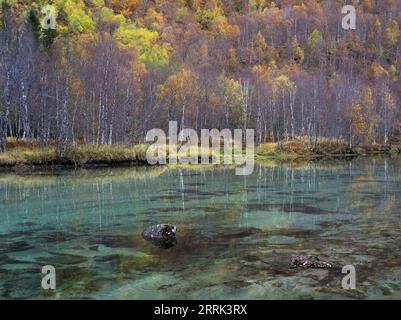 Arbres au bord du lac, automne dans le parc national de Rago, Norvège Banque D'Images