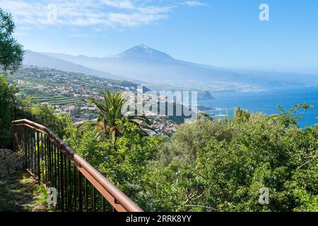 Tenerife, El Sauzal, Parque los Lavaderos, jardin botanique avec vue sur Teide Banque D'Images