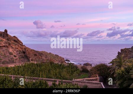 Tenerife, Canaries, côte rocheuse près d'Icod de los Vinos, ambiance nocturne, vue sur la mer, plantation de cactus Banque D'Images