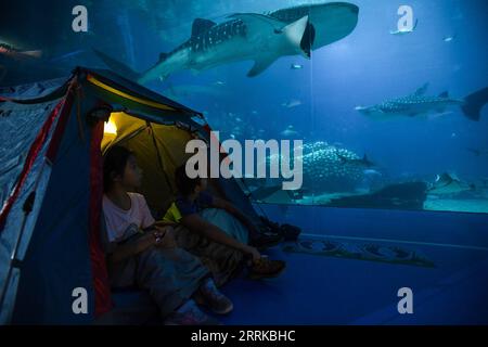 220830 -- GUANGZHOU, 30 août 2022 -- les visiteurs observent des requins baleines tôt le matin au Royaume de Chimelong Ocean à Zhuhai, dans la province du Guangdong, dans le sud de la Chine, le 28 août 2022. Chimelong Ocean Kingdom à Zhuhai dans la province du Guangdong du sud de la Chine a lancé le service de camping de nuit dans son hall de requin baleine. Les visiteurs pouvaient passer la nuit dans des tentes ici et observer les créatures géantes de près. Grâce aux instructions données par les membres du personnel, les gens peuvent également apprendre plus de connaissances sur le requin baleine, qui est la plus grande espèce de poisson au monde. CHINA-ZHUHAI-OCEAN PARK-NIGHT CAMPING CN LIUXDAWEI PUBL Banque D'Images