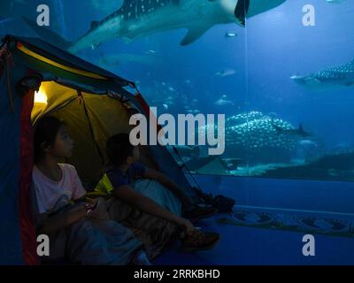 220830 -- GUANGZHOU, 30 août 2022 -- les visiteurs observent des requins baleines tôt le matin au Royaume de Chimelong Ocean à Zhuhai, dans la province du Guangdong, dans le sud de la Chine, le 28 août 2022. Chimelong Ocean Kingdom à Zhuhai dans la province du Guangdong du sud de la Chine a lancé le service de camping de nuit dans son hall de requin baleine. Les visiteurs pouvaient passer la nuit dans des tentes ici et observer les créatures géantes de près. Grâce aux instructions données par les membres du personnel, les gens peuvent également apprendre plus de connaissances sur le requin baleine, qui est la plus grande espèce de poisson au monde. CHINA-ZHUHAI-OCEAN PARK-NIGHT CAMPING CN LIUXDAWEI PUBL Banque D'Images