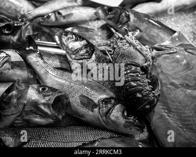 Poisson au marché aux poissons près de Rialto, Venise, Banque D'Images