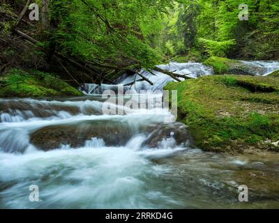 Géotope, réserve naturelle, NSG, FFH, zone FFH, nature, rivière, eau, rive de rivière, cascade, âge glaciaire, ravin, canyon, gorge, forêt de montagne, montagne, Alpes, Allgäu, paysage fluvial, paysage montagneux Banque D'Images