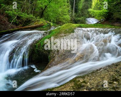 Dans l'Eistobel près de Maierhöfen dans le Allgäu. Banque D'Images