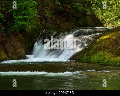 Dans l'Eistobel près de Maierhöfen dans le Allgäu. Banque D'Images
