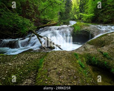 Géotope, réserve naturelle, NSG, FFH, zone FFH, nature, rivière, eau, rive de rivière, cascade, âge glaciaire, ravin, canyon, gorge, forêt de montagne, montagne, Alpes, Allgäu, paysage fluvial, paysage montagneux Banque D'Images