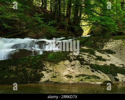 Dans l'Eistobel près de Maierhöfen dans le Allgäu. Banque D'Images