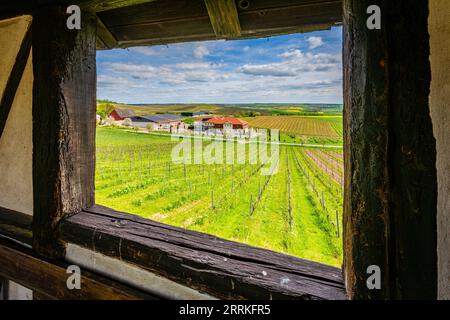 Hofgut Donnersberg dans le paysage vallonné près de Vendersheim en Rheinhessen, le chemin des pèlerins de Rheinhessen passe ici, vue à travers la fenêtre du chalet de vignoble Banque D'Images