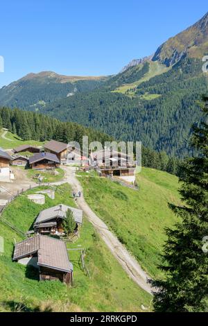 Autriche, Tyrol, Zillertal, le Bichlalm près de Hintertux. Banque D'Images