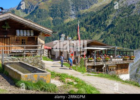 Autriche, Tyrol, Zillertal, le Bichlalm près de Hintertux. Banque D'Images