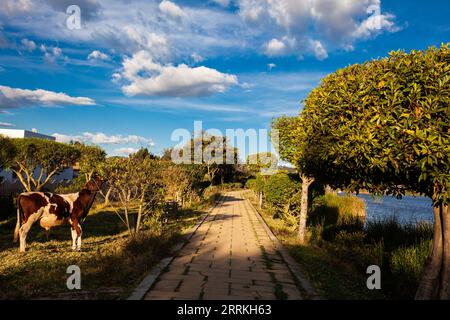 Sentier du lac artificiel de Sochagota construit en 1956 pour fournir un potentiel touristique à la municipalité de Paipa, dans le département de Boyacá, au nord-est Banque D'Images