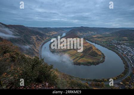 Matin dans les vignes sur la Moselle, lever de soleil d'automne d'un point de vue au-dessus de la boucle de la Moselle près de Bremm, couleurs d'automne en Allemagne Banque D'Images