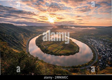 Matin dans les vignes sur la Moselle, lever de soleil d'automne d'un point de vue au-dessus de la boucle de la Moselle près de Bremm, couleurs d'automne en Allemagne Banque D'Images