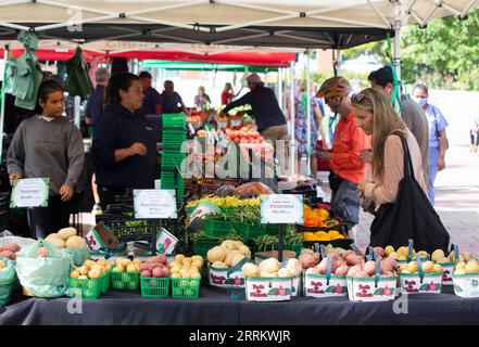 220920 -- TORONTO, le 20 septembre 2022 -- les clients magasinent dans un marché agricole à Toronto, Canada, le 20 septembre 2022. Indice des prix à la consommation du Canada l'IPC a augmenté de 7 % d'une année à l'autre en août, en baisse par rapport à une hausse de 7,6 % enregistrée en juillet, a annoncé Statistique Canada mardi. Photo de /Xinhua CANADA-TORONTO-HAUSSE DE L'INDICE DES PRIX À LA CONSOMMATION ZouxZheng PUBLICATIONxNOTxINxCHN Banque D'Images