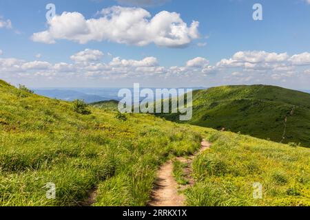 Europe, Pologne, voïvodie de Podkarpackie, Monts Bieszczady, Parc national de Bieszczady, Bukowe Bedro Banque D'Images