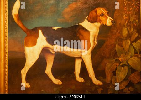 Peinture de Ringwood un Brocklesby Foxliver par George Stubbs en date de 1792 Banque D'Images