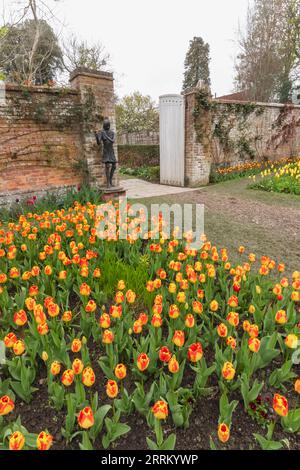 Angleterre, Sussex, East Sussex, Pashley Manor Gardens, Tulips in Bloom Banque D'Images