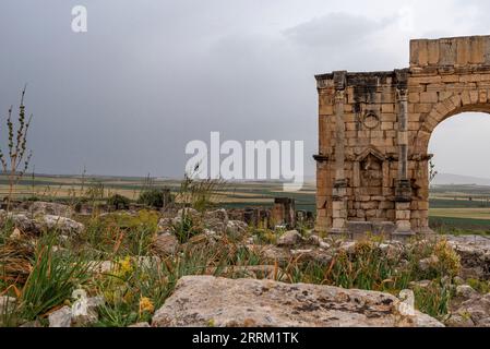 Arche Triumphal emblématique de Volubilis, une ancienne ville romaine au Maroc, en Afrique du Nord Banque D'Images