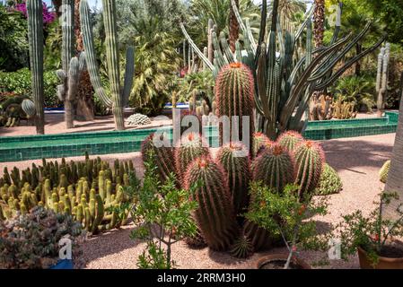 Parc paisible dans la Nouvelle ville de Marrakech, Maroc Banque D'Images