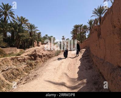 Un randonneur dans un paysage agricole pittoresque dans la belle vallée de Draa, palmeraies entourant le chemin de randonnée, Maroc Banque D'Images