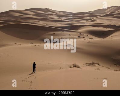 Une personne marchant dans le désert d'Erg Chebbi dans le Sahara africain, désert marocain Banque D'Images