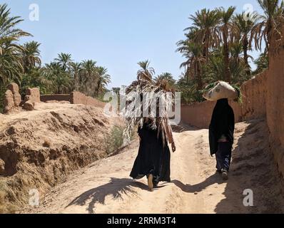 Un randonneur dans un paysage agricole pittoresque dans la belle vallée de Draa, palmeraies entourant le chemin de randonnée, Maroc Banque D'Images