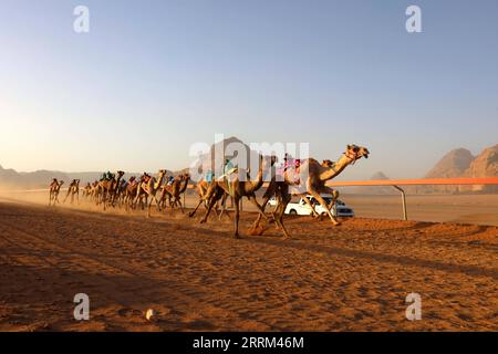 220930 -- AMMAN, le 30 septembre 2022 -- des chameaux concourent lors d'une course de chameaux dans le désert de Wadi Rum, Jordanie, le 30 septembre 2022. Un festival de courses de chameaux a débuté vendredi dans le désert de Wadi Rum en Jordanie, avec plus de 500 chameaux participant à la course. Photo de /Xinhua JORDAN-WADI RUM-CAMEL RACE FESTIVAL MohammadxAbuxGhosh PUBLICATIONxNOTxINxCHN Banque D'Images