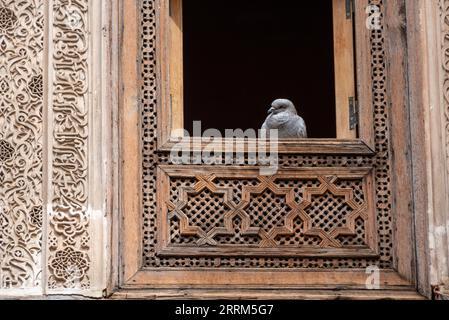 Façade à la décoration riche dans la cour de l'Attarine Medersa à Fès, au Maroc Banque D'Images