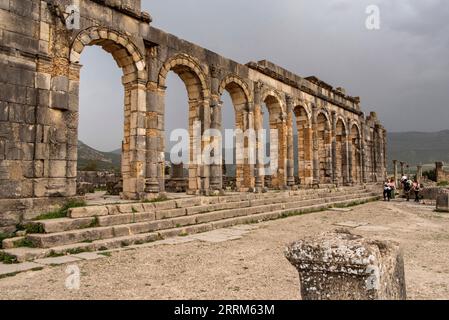 Les ruines emblématiques du forum à Volubilis, une ancienne ville romaine au Maroc, en Afrique du Nord Banque D'Images