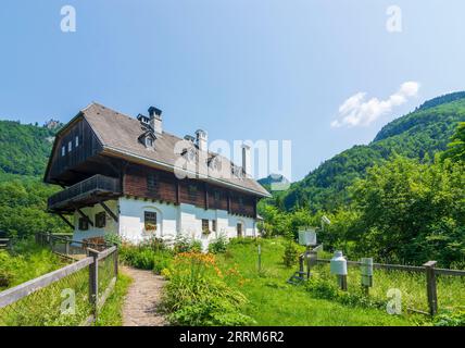 Parc national Kalkalpen, maison forestière Forsthaus Bodinggraben à Steyr, Nationalpark Region, haute-Autriche, Autriche Banque D'Images