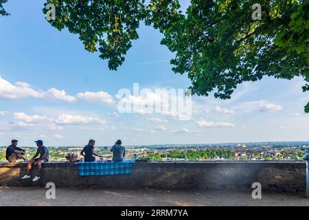 Wiesbaden, vue de la colline Neroberg au centre-ville, les gens au pique-nique à Rheingau, Hesse, Allemagne Banque D'Images