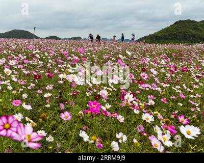 221007 -- GUIYANG, le 7 octobre 2022 -- des touristes visitent un champ de fleurs dans une base agricole complète dans le canton de Qiantao du district de Huaxi, Guiyang, province du Guizhou, dans le sud-ouest de la Chine, le 6 octobre 2022. De grands efforts ont été faits ces dernières années pour développer le tourisme agricole dans le district de Huaxi de Guiyang. Dans le cadre de la campagne de vitalisation rurale, les autorités ont travaillé à améliorer les infrastructures pour le tourisme rural tout en encourageant les industries ayant des caractéristiques locales. CHINE-GUIZHOU-GUIYANG-CULTURE DE FLEURS-TOURISME CN YANGXWENBIN PUBLICATIONXNOTXINXCHN Banque D'Images