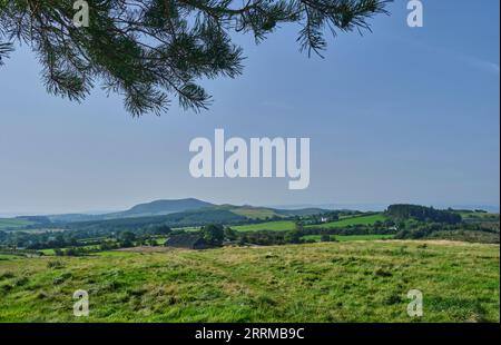 En regardant vers Corndon Hill de Bromlow Callow près de Shelve, Shropshire Banque D'Images