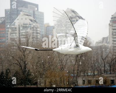 China, Beijing University Hat Guinness-Rekord für längste Flugdauer eines Ornithopters aufgestellt 221023 -- BEIJING, 23 octobre 2022 -- cette photo prise le 21 janvier 2022 montre le vol d'un ornithopter développé par Beihang University. Une équipe de recherche universitaire chinoise a établi un record Guinness pour la plus longue durée de vol d'un ornithoptère, un avion sans pilote qui vole en battant ses ailes mécaniques. Construit par des chercheurs et des étudiants de l'Université de Beihang, l'engin ressemblant à des oiseaux a volé en continu pendant 1 heure 30 minutes et 4,98 secondes. POUR ALLER AVEC l'université chinoise définit Guinness RE Banque D'Images