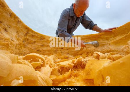 221024 -- KASTERLEE, le 24 octobre 2022 -- un membre du personnel creuse une citrouille pour la régate de citrouilles dans le village de Lichtaart de Kasterlee, Belgique, le 23 octobre 2022. La 13e édition de la régate de citrouilles est une compétition de kayak en Belgique, attirant les participants à s’asseoir et à concourir dans de grandes citrouilles creuses. Selon les organisateurs locaux, le poids de chaque citrouille transformée en bateau pouvait atteindre des centaines de kilogrammes. BELGIQUE-KASTERLEE-CITROUILLE REGATTA ZhengxHuansong PUBLICATIONxNOTxINxCHN Banque D'Images