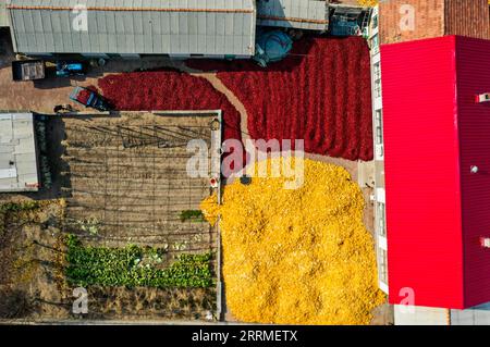 221025 -- TONGLIAO, 25 octobre 2022 -- cette photo aérienne prise le 25 octobre 2022 montre des piments et des cors dans une cour de villageois dans le village de Dongfanghong, dans le canton de Dongfeng, comté de Kailu, région autonome de Mongolie intérieure du nord de la Chine. Chili est entré dans la haute saison de récolte et de vente dans le comté de Kailu. Actuellement, Kailu a environ 600 000 mu environ 40 000 hectares de zone de culture du Chili. CHINE-INTÉRIEUR MONGOLIE-TONGLIAO-CHILI-RÉCOLTE CN LIANXZHEN PUBLICATIONXNOTXINXCHN Banque D'Images